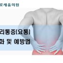 바로세움정형외과의원 이미지