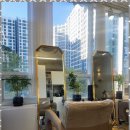 헤어도도 이미지