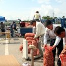 의성목장 이미지