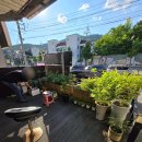 검성로3-1 이미지