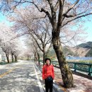 칠연폭포송어양어장 | 무주군 안성면 칠연폭포 송어양어장에서 송어회먹었어요~