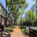 숲에서 | 세토스케치후기-석관동의 숲에서 춤추는 사람