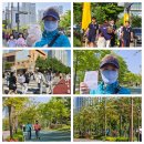 삼다부각 Daum카페