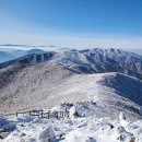 돼지왕국 | [2024] 겨울왕국 무주 덕유산 등산(구천동탐방센터) 및 곤도라 하산 후기 + 국립공원 카라반(8인용)
