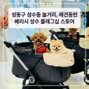 성수동 놀거리 추천! 애견동반 가능한 베리시 성수 플래그십 스토어 쇼핑 후기 (아이스온 팝업까지)