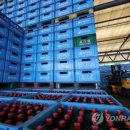 하이트진로산업노동조합 이미지