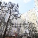 동화부동산공인중개사사무소 이미지