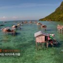 (주)바다를 품다