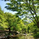 이안 힐링랜드 이미지