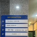 벨리필라테스&요가 | 토탈웰니스센터 [준필라테스] 하타 요가 찐 후기