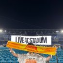 히게단 닛산 스타디움 콘서트 후기 오피셜히게단디즘