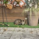 (주)레드붐 | (계속 우려먹는) 정민과 나 정민과 나 너와 나는 어떤 사이일까