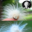 미주리헤어 이미지