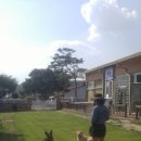 힐링독아카데미 이미지