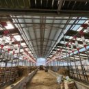 수리한우농장 이미지