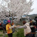 대통주유소 이미지