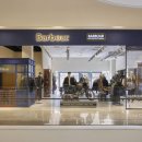 도그필드 이미지