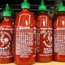 스리라차(SRIRACHA) 이미지