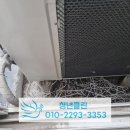 비둘기세탁소 이미지