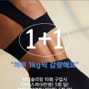 플레이 돔 이미지