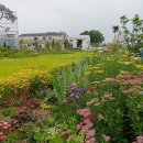 일한농장 이미지