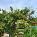 농부네 텃밭 이미지