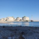 강릉스마일찰진꽈배기 이미지