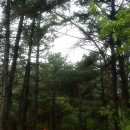 양주농장 이미지