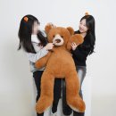 사단법인 일하는 사람들 | 제주 애월 가볼만한곳 제주도 서귀포 여행 코스 BEST6