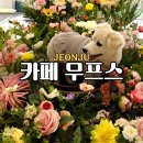 무프스 유치원 | 전주 500평 대형애견카페 무프스 천연잔디 애견운동장 데이트코스 추천