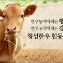 횡성한우협동조합