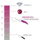 착한셰프
