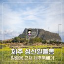 제주뚝배기 | 제주 성산일출봉 근처 맛집 점심으로 좋았던 제주뚝배기 솔직 후기