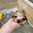 멍미살롱 이미지