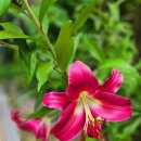 초막골 생태공원 이미지