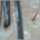 춤추는머리나라 이미지