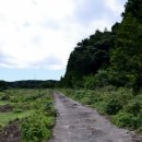 선흘리에 이미지