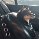 동해동물병원 이미지