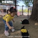 홍겸농장 | 경기 안성 팜랜드 아이랑 각종 체험 후기 전동 자전거 강추