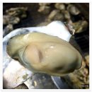 지금! 여수 이미지