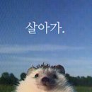 커피바라24 | 추천합니다
