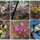 버스정류소_비석거리 이미지