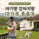 조이스 | 내돈내산 강원도 원주 독채펜션 추천｜아기랑 강아지랑 함께한 가족여행, 조이스타운 솔직후기