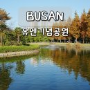유엔기념공원주차장 | 부산 단풍 명소 유엔기념공원 주차장 11월 국내여행지 추천
