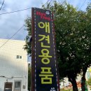 핫독애견백화점 이미지