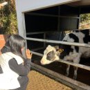 현기목장 이미지