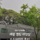휴림 | 숲속 캠핑 감성 가득한 애월 숙소, 휴림 후기