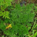 현기농장 이미지