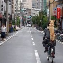 대부주유소 이미지