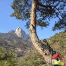 도봉-도봉-2502 이미지